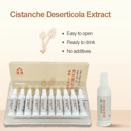 The Power of Cistanche: Why This Desert Herb Is Becoming a Global Wellness Favorite